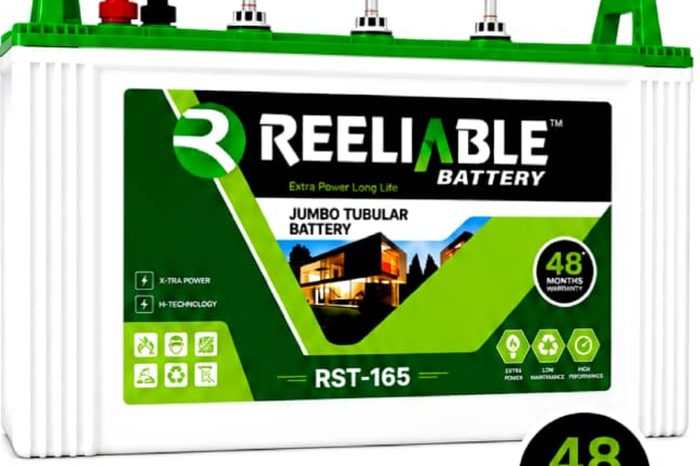 Reeliable RST-165 tubular inverter battery