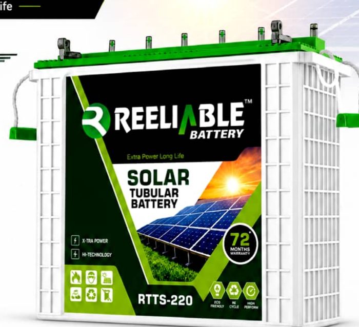 Reeliable RTTS-220 tubular inverter battery